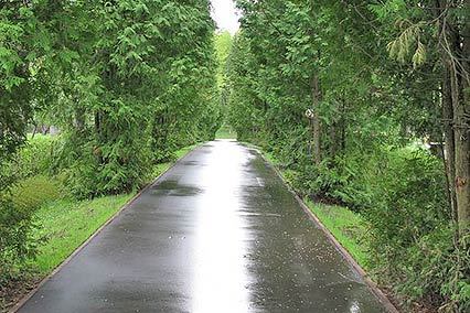 Чайковский