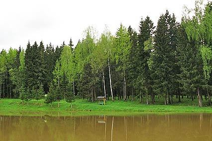 Чайковский