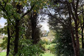 Отель Черноморец парк-отель Абхазия, Гудаута, фото 33