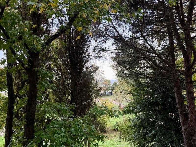 Черноморец парк-отель