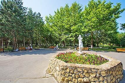 Черноморская зорька