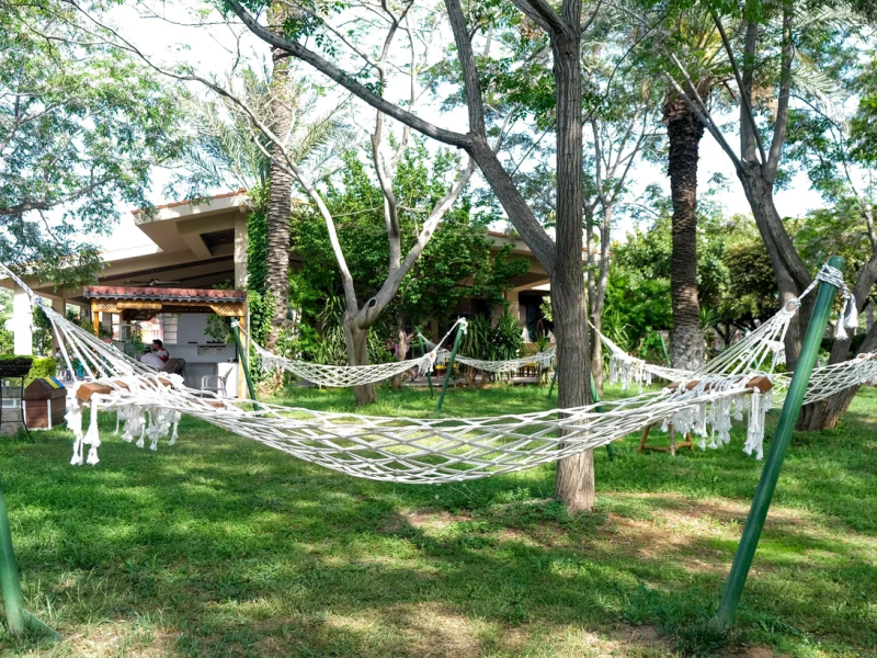 Belconti Resort Hotel