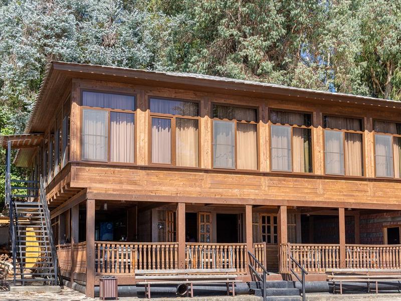 Эвкалиптовая роща