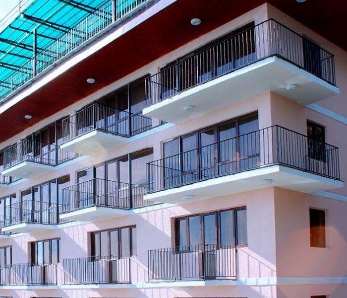 Эвкалиптовая роща