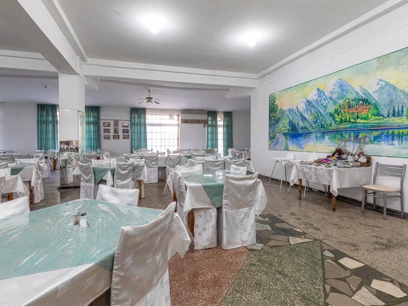 Эвкалиптовая роща