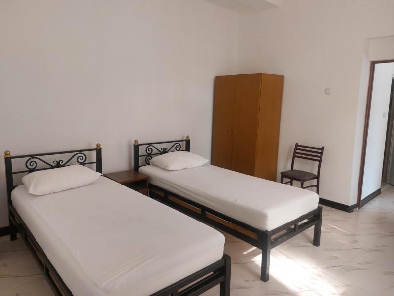 Эвкалиптовая роща