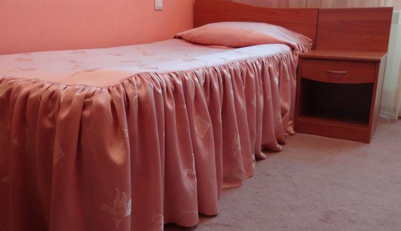 Электрон (Новосибирск)