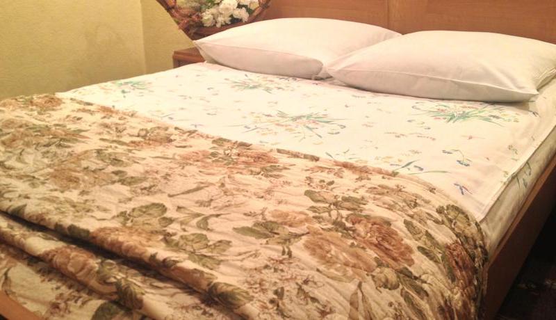 Электрон (Новосибирск)