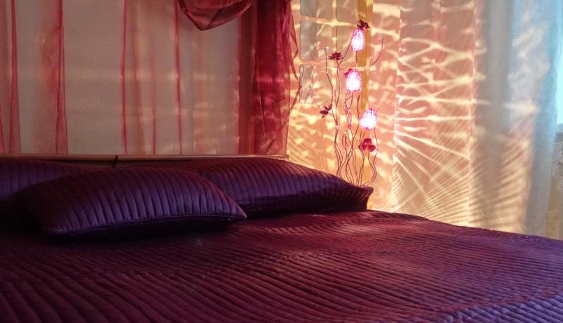 Электрон (Новосибирск)