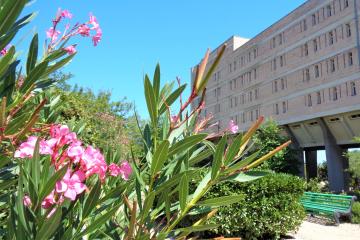 Отель Южнобережный Россия, Алупка, фото 12