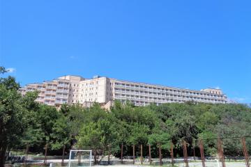 Отель Южнобережный Россия, Алупка, фото 14