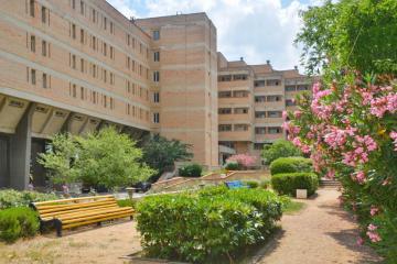 Отель Южнобережный Россия, Алупка, фото 21