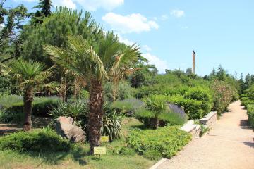 Отель Южнобережный Россия, Алупка, фото 30