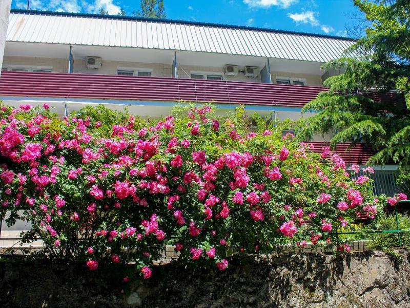 Южный пансионат (Бетта)