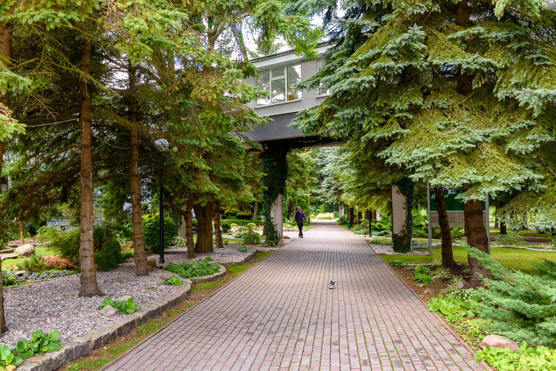 Янтарный берег Санаторий 