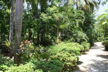 Отель Golden Sand Inn Таиланд, пляж Карон, фото 18