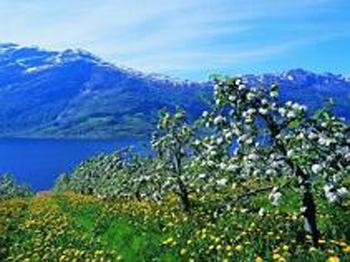 Best Western Kinsarvik Fjord Hotel