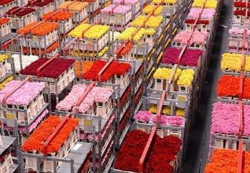 Courtyard Amsterdam Airport