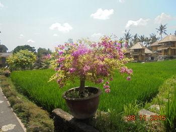 Biyukukung Suites & Spa