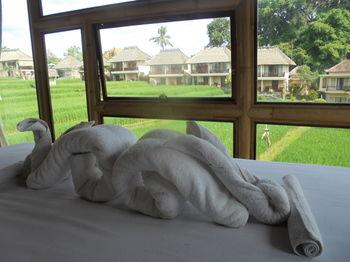 Biyukukung Suites & Spa