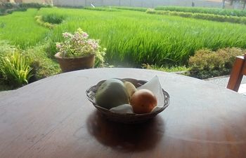 Отель Biyukukung Suites & Spa Индонезия, о Бали, фото 74