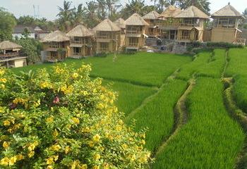 Отель Biyukukung Suites & Spa Индонезия, о Бали, фото 91