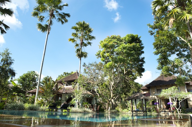 D'Omah Hotel Bali