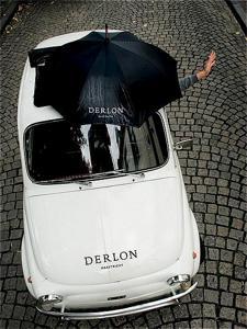 Hotel Derlon