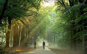 DoubleTree by Hilton Royal Parc Soestduinen