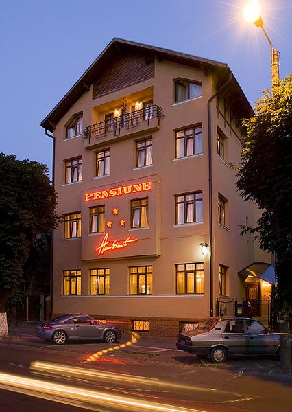 Ambient Pensiunea