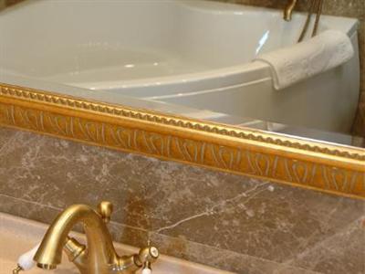 Residence Domenii Plaza