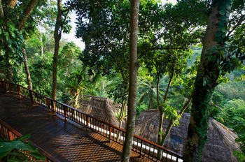 Отель Natura Resort & Spa Индонезия, о Бали, фото 11