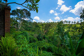 Отель Natura Resort & Spa Индонезия, о Бали, фото 42