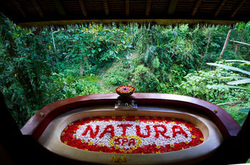 Отель Natura Resort & Spa Индонезия, о Бали, фото 58