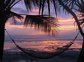 Puri Dajuma Cottages