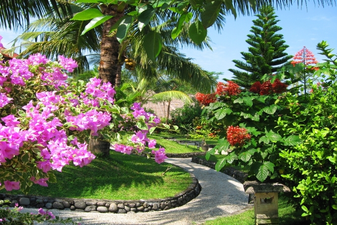 Puri Dajuma Cottages