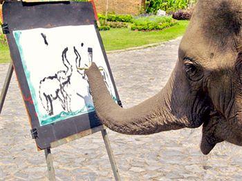 Belle Villa Resort Chiangmai