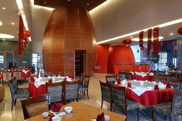 Отель Novotel Palembang Hotel & Residence Индонезия, о Суматра, фото 6