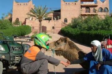 Отель Kasbah Le Mirage Марокко, Марракеш, фото 18