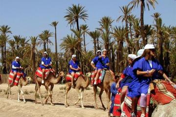 Отель Kasbah Le Mirage Марокко, Марракеш, фото 19