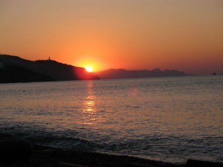 Жасмин (Солнечногорское)