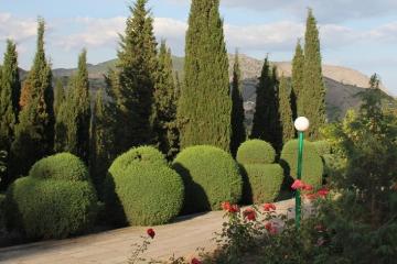 Отель Зенит Россия, Судак, фото 18