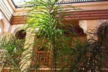 Отель Riad Al Ksar & Spa Марокко, Марракеш, фото 42
