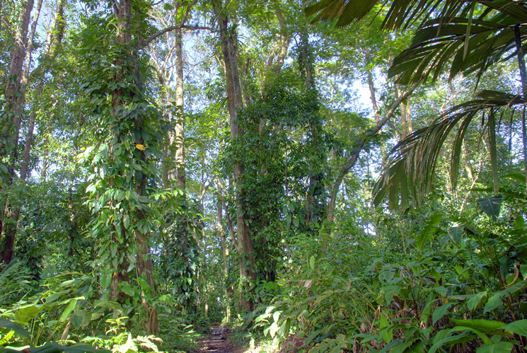 Mawamba Lodge
