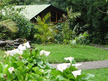 Cloud Forest Lodge