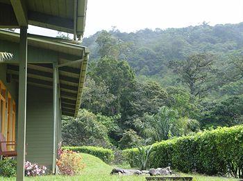 Cloud Forest Lodge