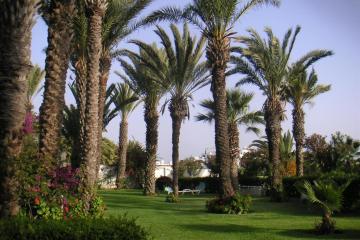 Отель Adrar Марокко, Агадир, фото 5