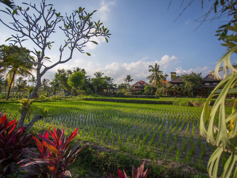 Amatara Agung Raka