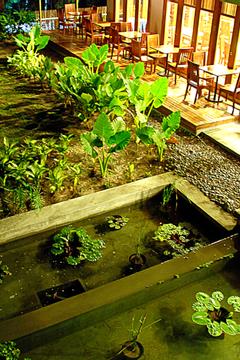 Отель Belum Rainforest Resort Малайзия, Герик, фото 11