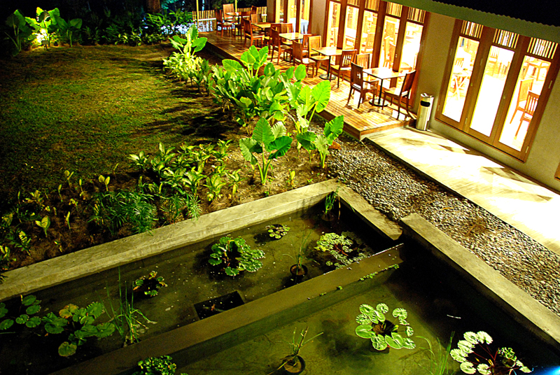 Belum Rainforest Resort